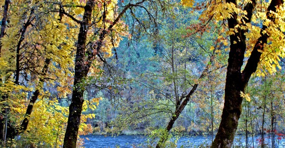 Rogue Elk Campground