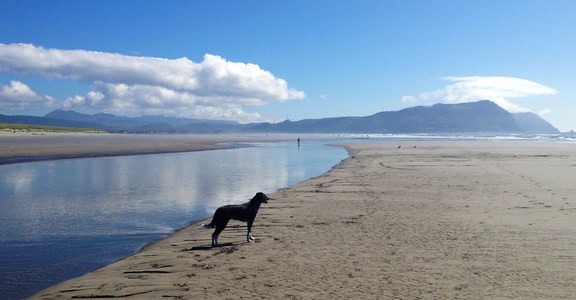 Gearhart Beach