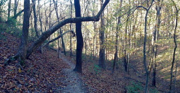 Mossy Ridge Trail, Warner Parks