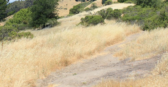 Arroyo Trail