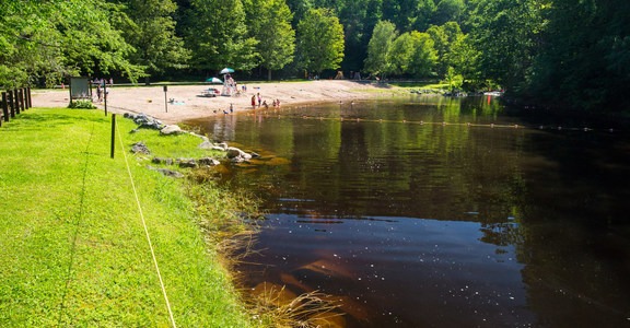 Whetstone Gulf Swimming Hole