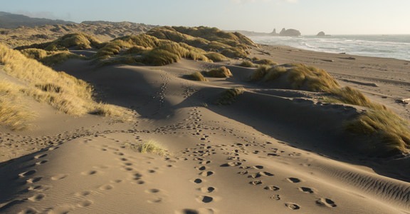 Pistol River South Beach