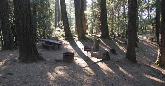 Pantoll Campground
