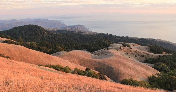 Mount Tamalpais State Park