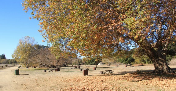 Andrew Molera Trail Camp Campground