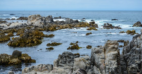 Asilomar State Marine Reserve
