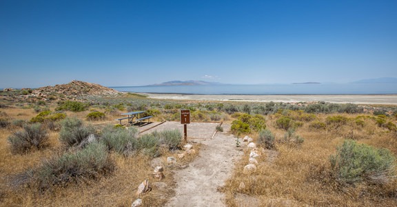 Lady Finger Campground