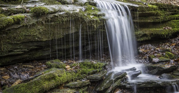 Buffalo Creek + Sal Hollow Loop