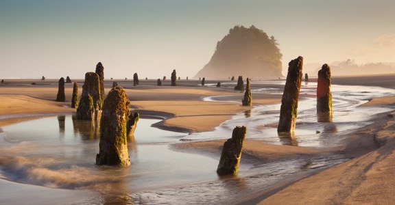 Neskowin Beach State Recreation Site