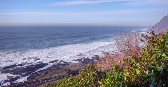 Cook's Ridge + Gwynn Creek Trail