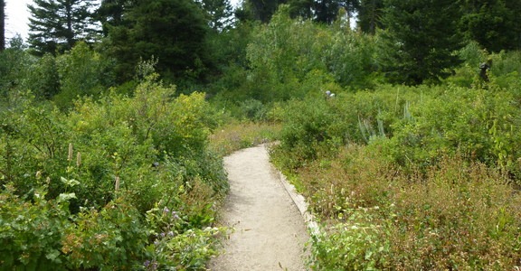Shafer Butte and Mores Mountain Trailhead