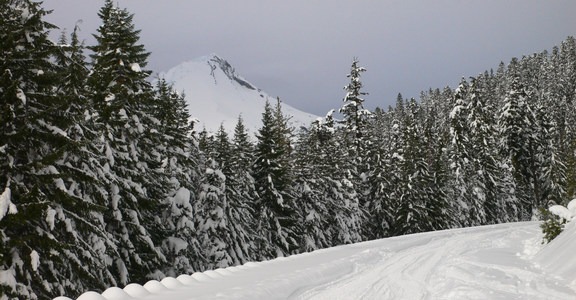Iron Creek Ski + Snowshoe Trail
