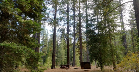 Goose Meadows Campground