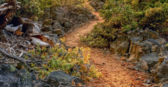Brown Mountain Hike via Great Meadow