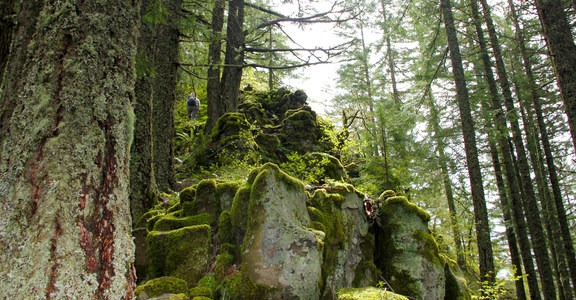 Ruckel Ridge Loop Hike