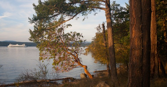 Shaw Island Circumnavigation