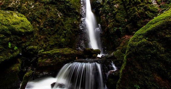 Soda Creek Falls Trail