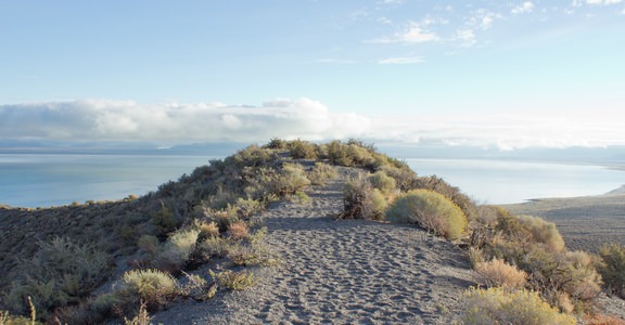 Panum Crater Rim Trail