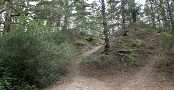 Sutton Campground