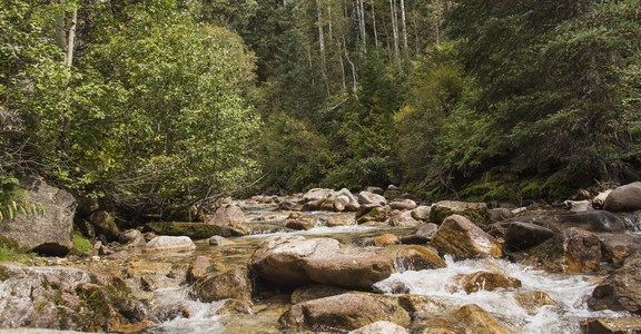 Tanners Flat Campground