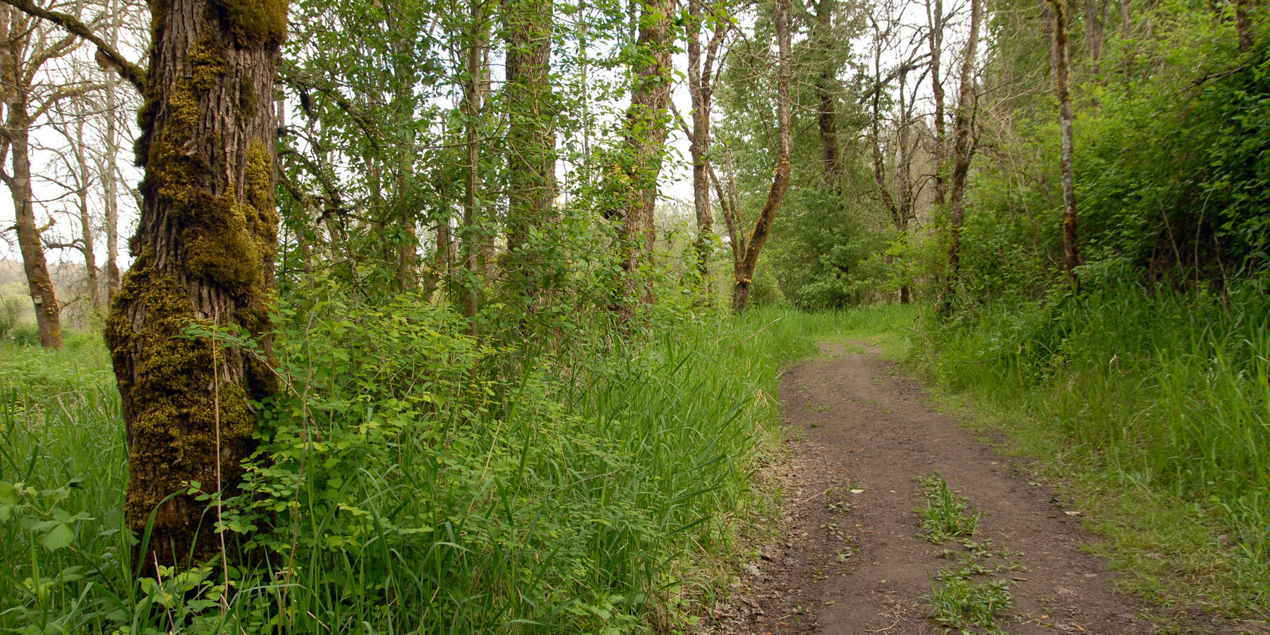 Sauvie Island, Warrior Rock Lighthouse Trail Outdoor Project
