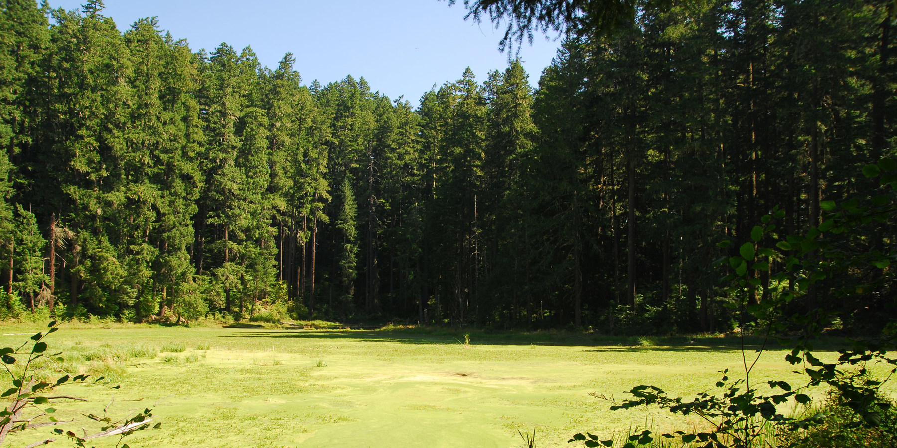 Alder Flats Hike + Campsites Outdoor Project