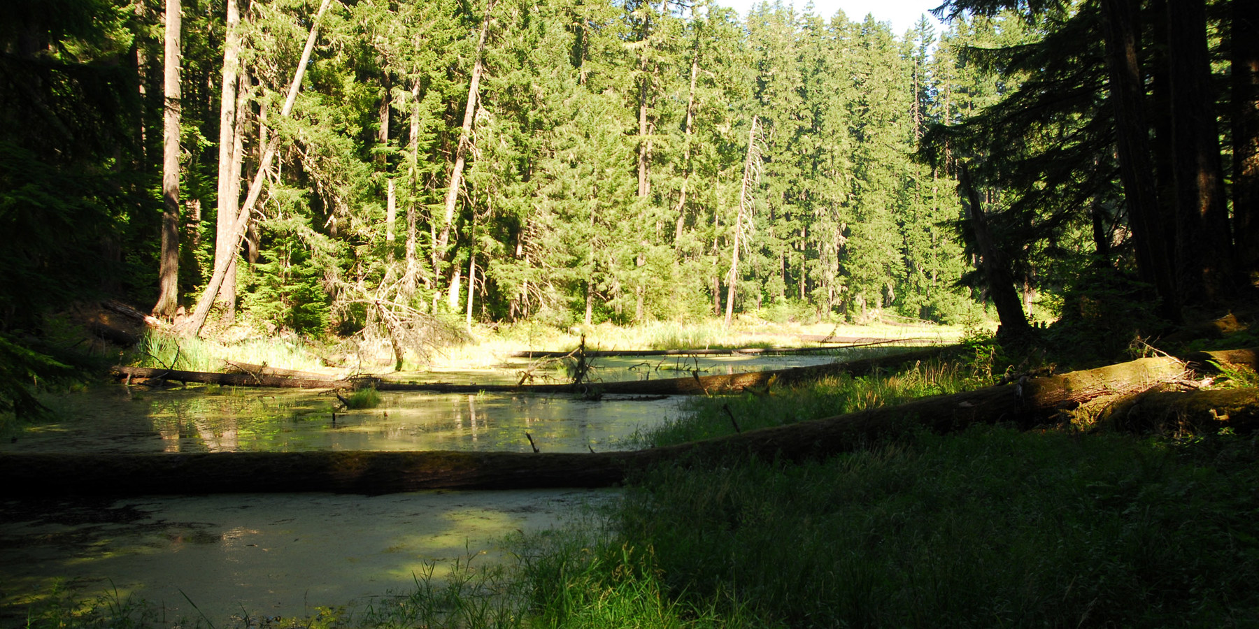 Alder Flats Hike + Campsites Outdoor Project