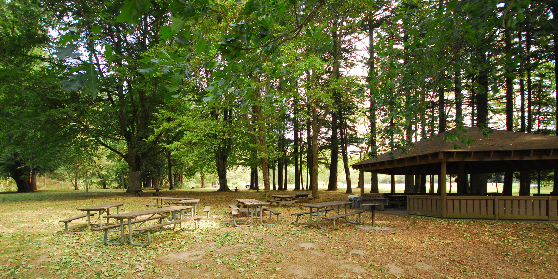 Dabney State Park Outdoor Project