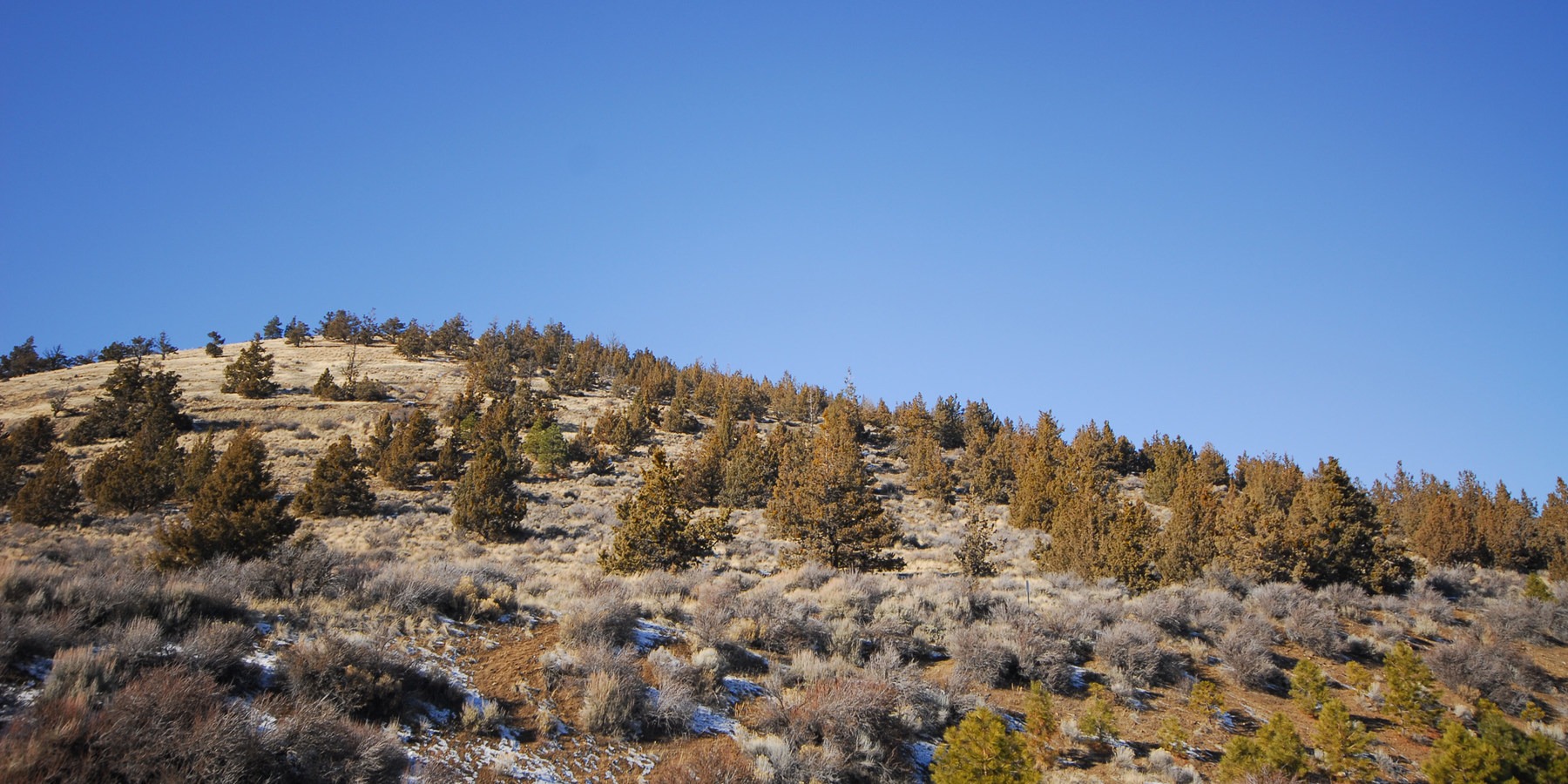 Pilot Butte Summit Trail Outdoor Project