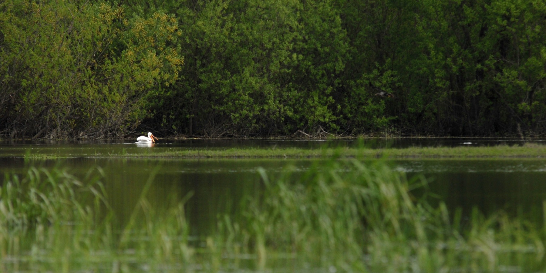Sturgeon Lake on Sauvie Island Outdoor Project