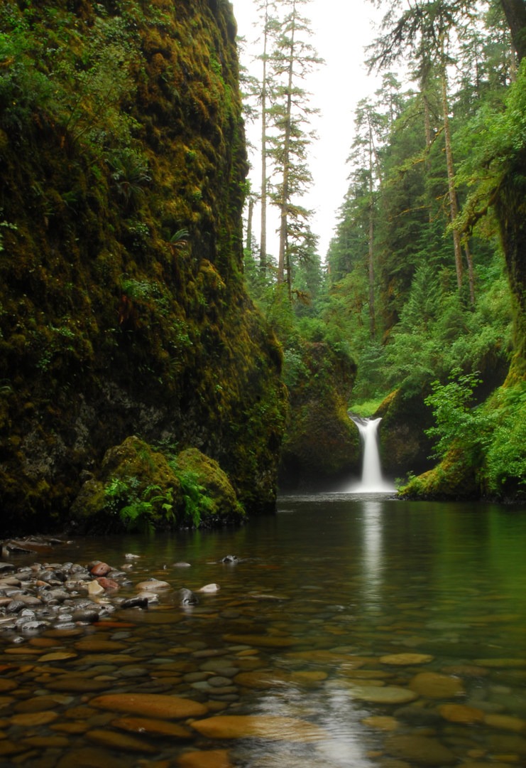 Eagle Creek Hike to Tunnel Falls | Outdoor Project
