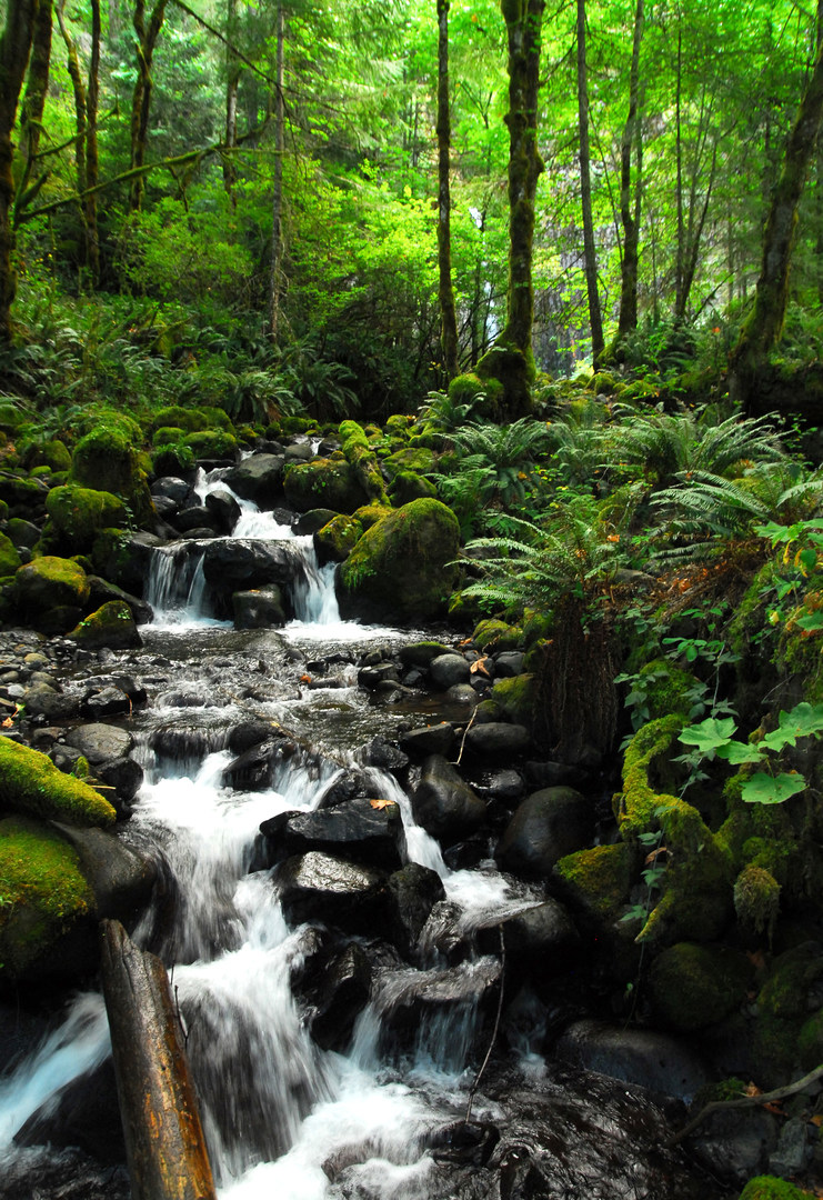 Dry Creek Falls Hike Outdoor Project