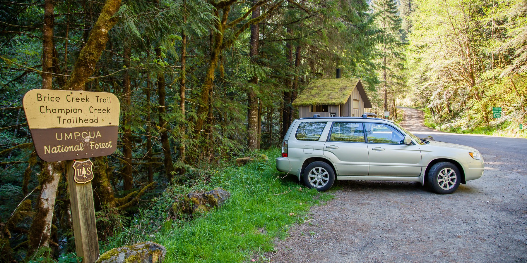 Brice Creek Trail, Champion Creek Trailhead to Lund Campground Hike