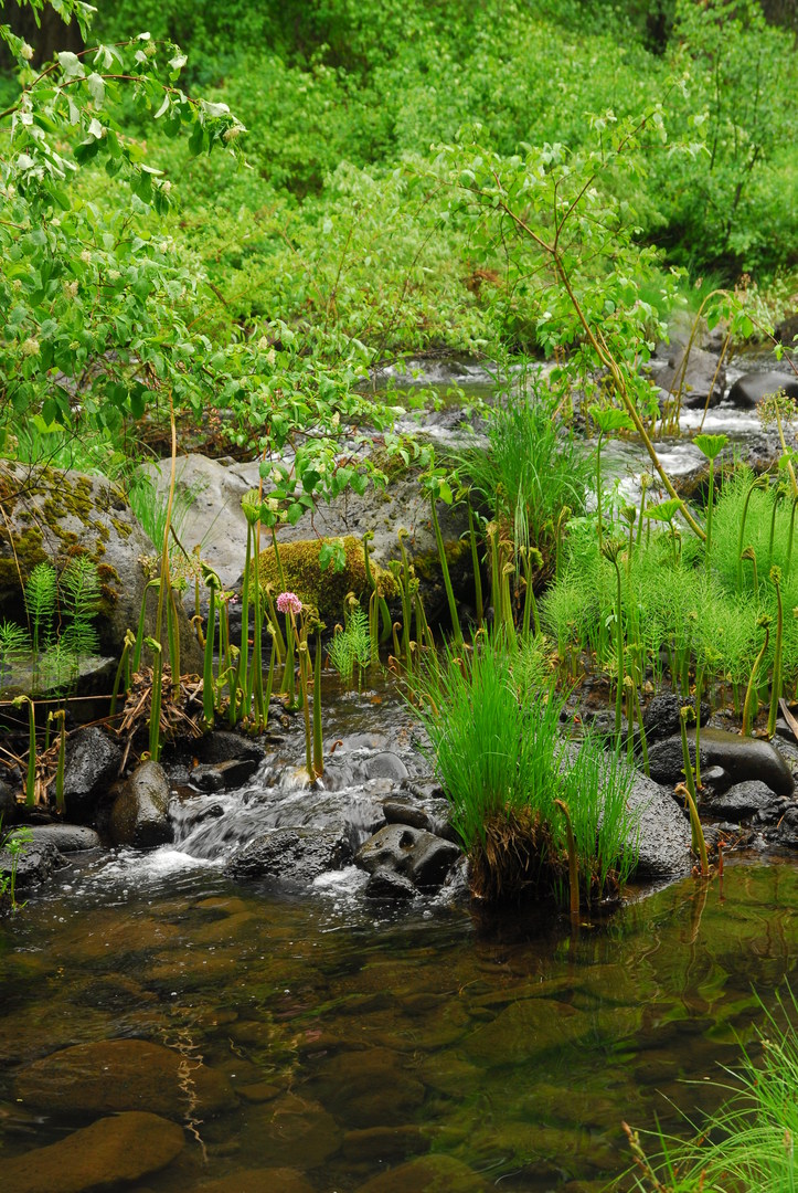 McCloud River Three Falls Hike Outdoor Project