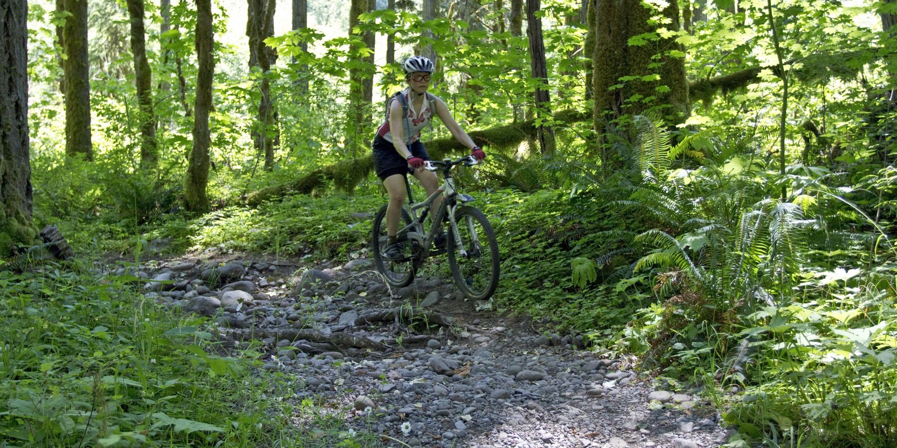 Salmon Creek Trail Outdoor Project