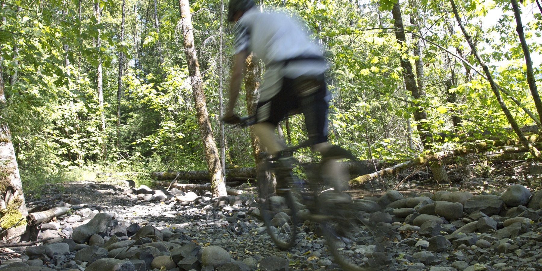 Salmon Creek Trail Outdoor Project