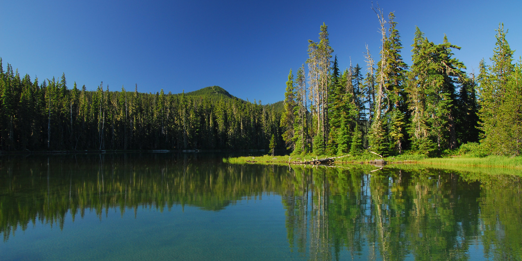 Waldo Lake, Shadow Bay Campground Outdoor Project