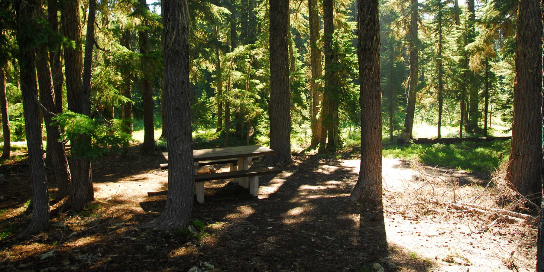 Waldo Lake, Shadow Bay Campground Outdoor Project