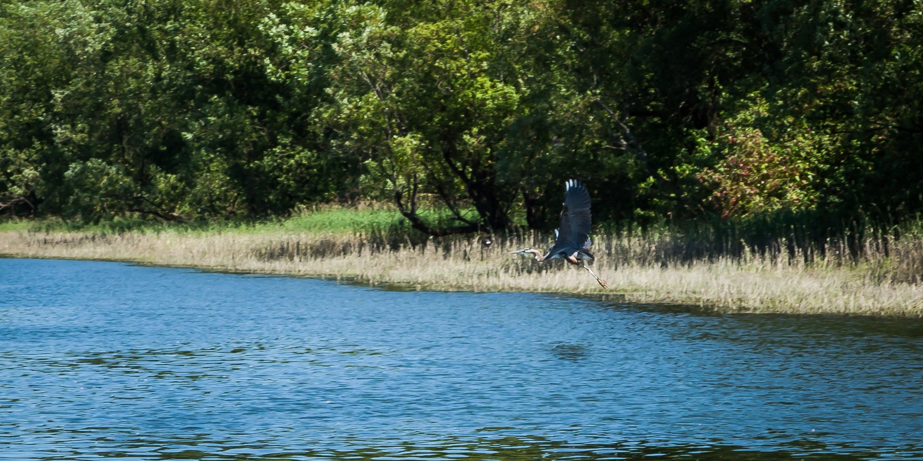Reed Island State Park Campsite Outdoor Project