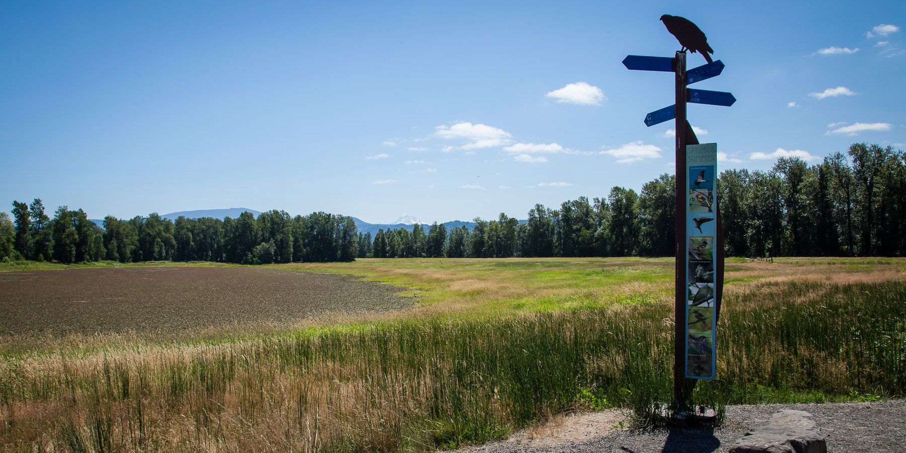 Gibbons Creek Wildlife Art Trail Outdoor Project