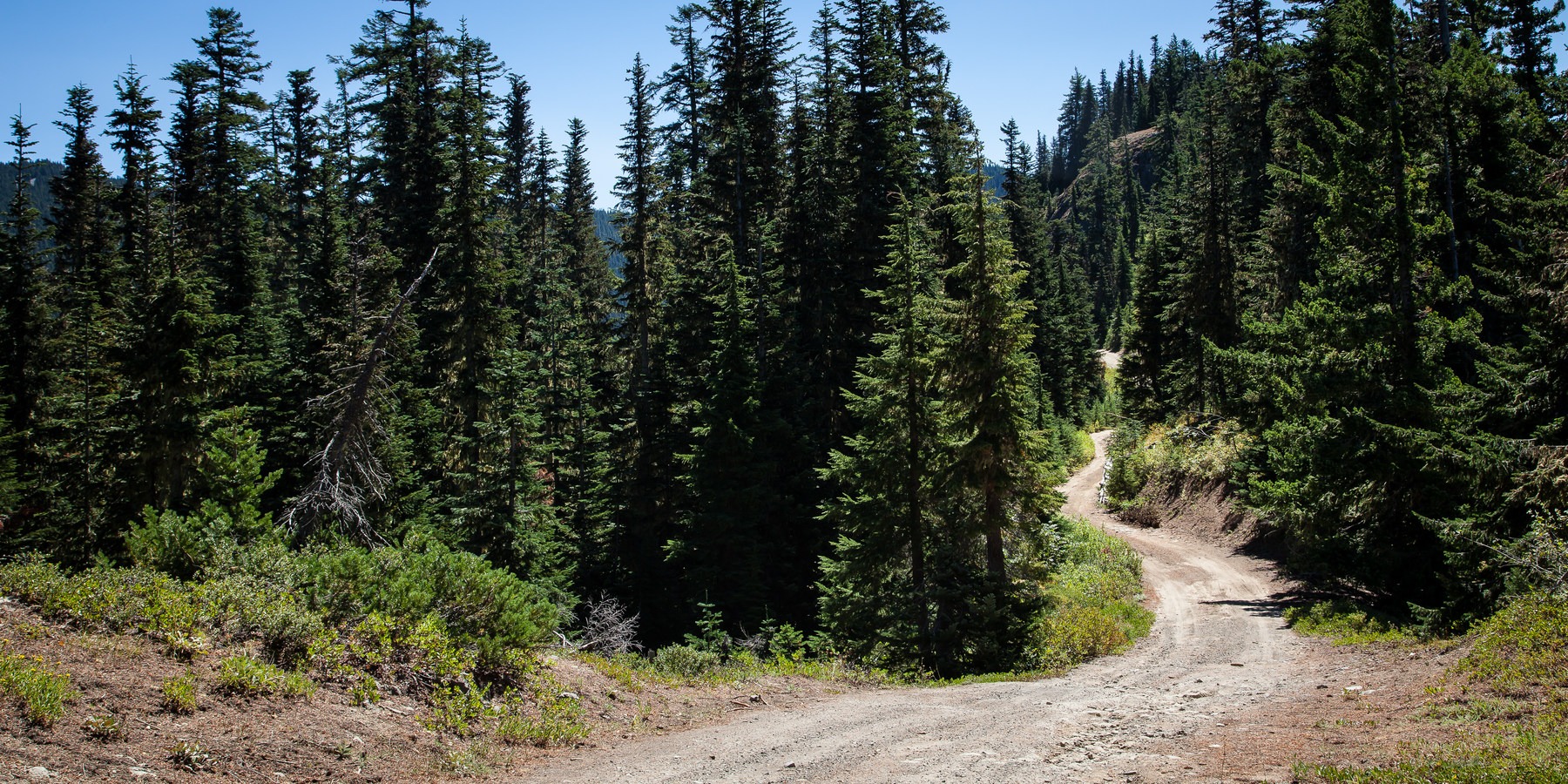Gunsight Ridge Trail | Outdoor Project