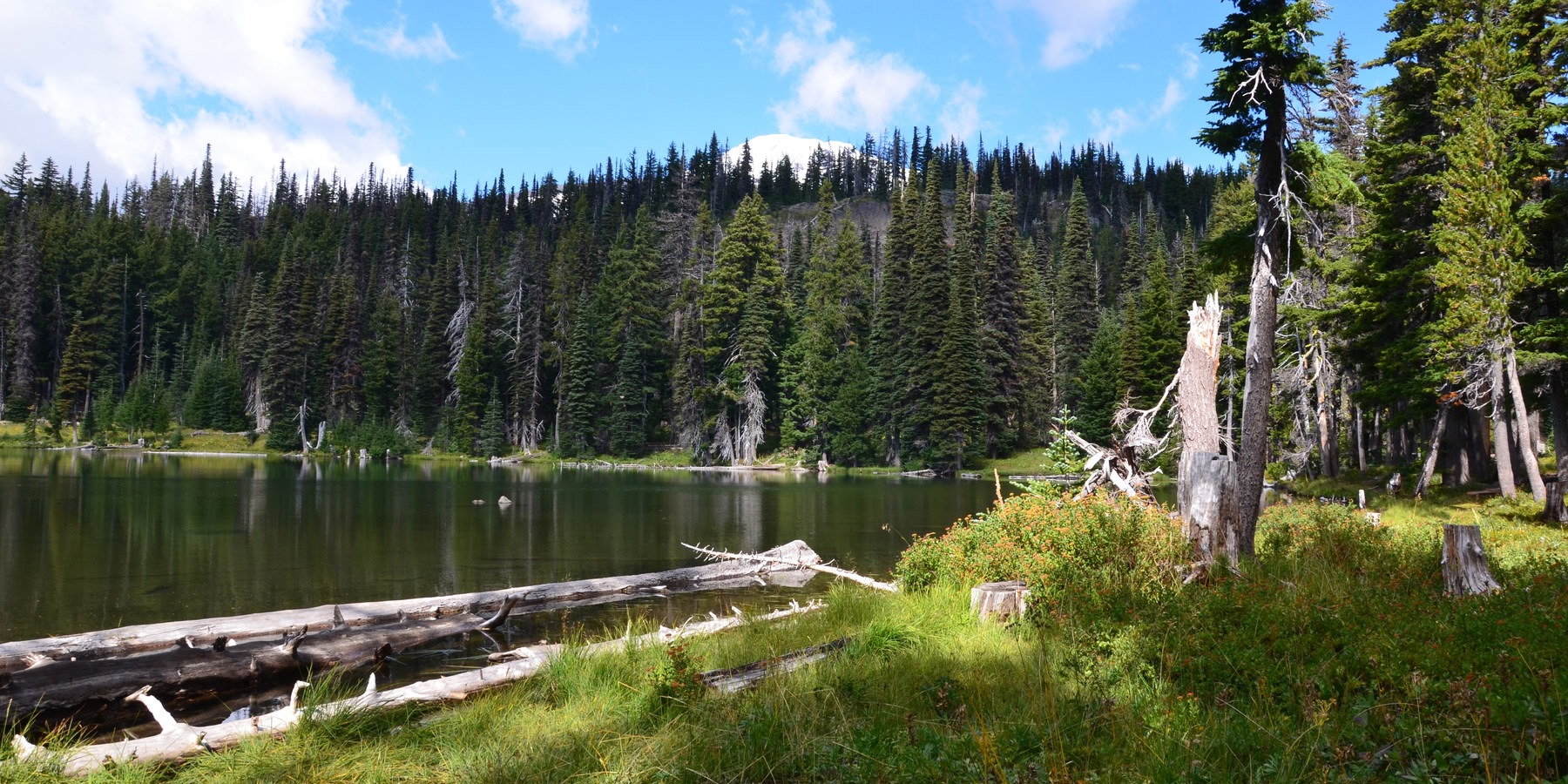 Bird Creek Meadows Outdoor Project