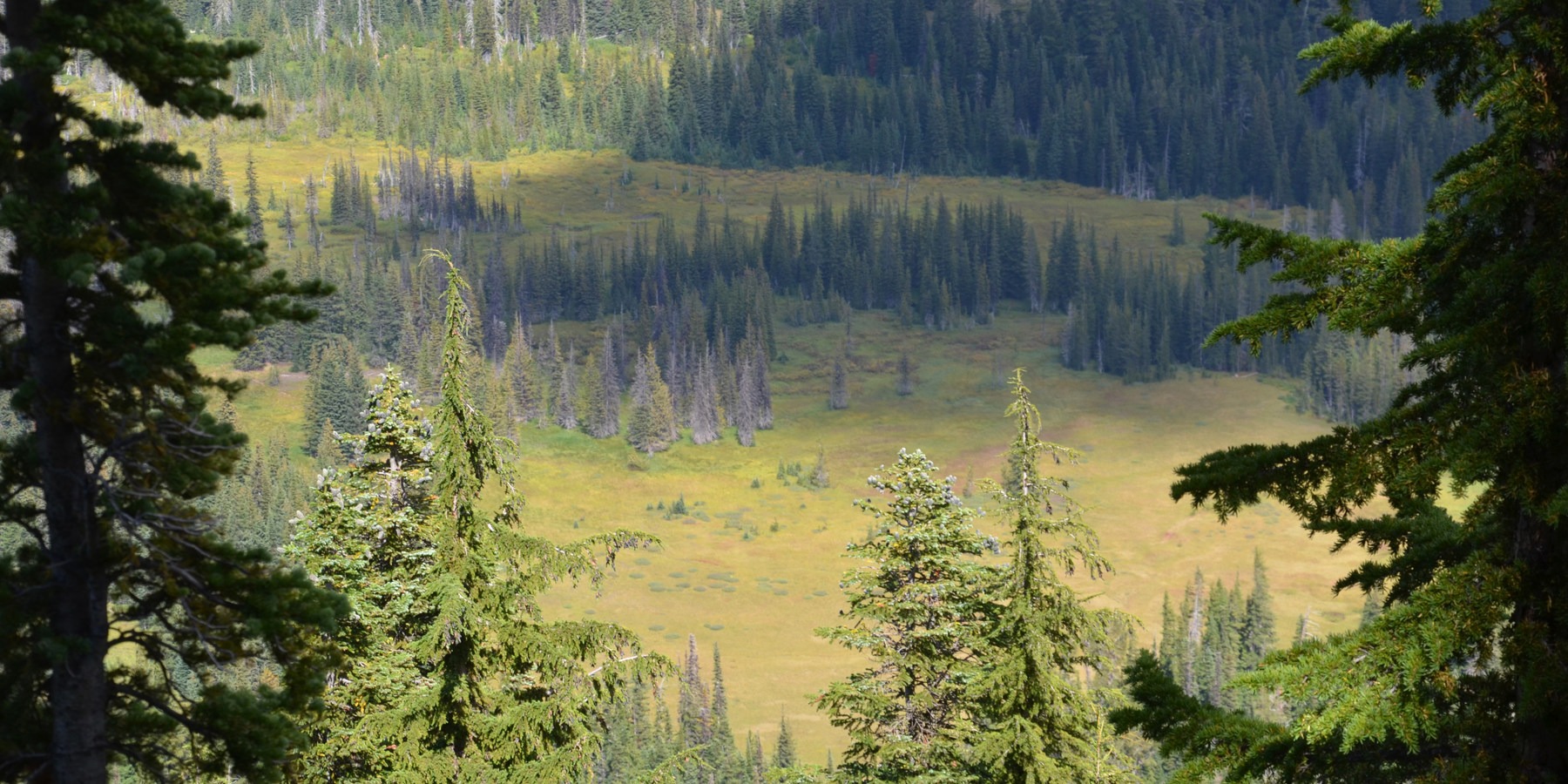 Bird Creek Meadows Outdoor Project