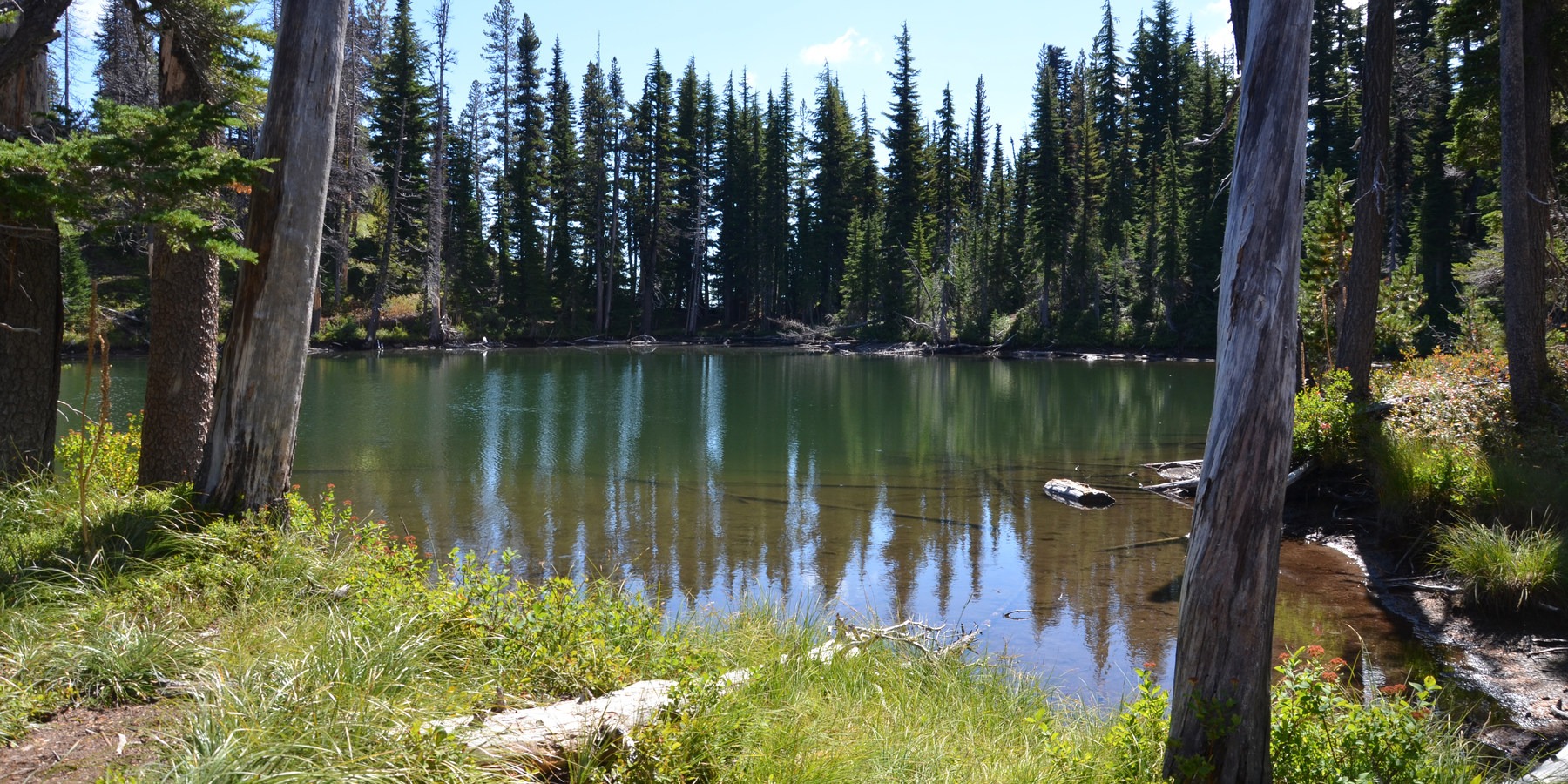 Bird Creek Meadows Outdoor Project