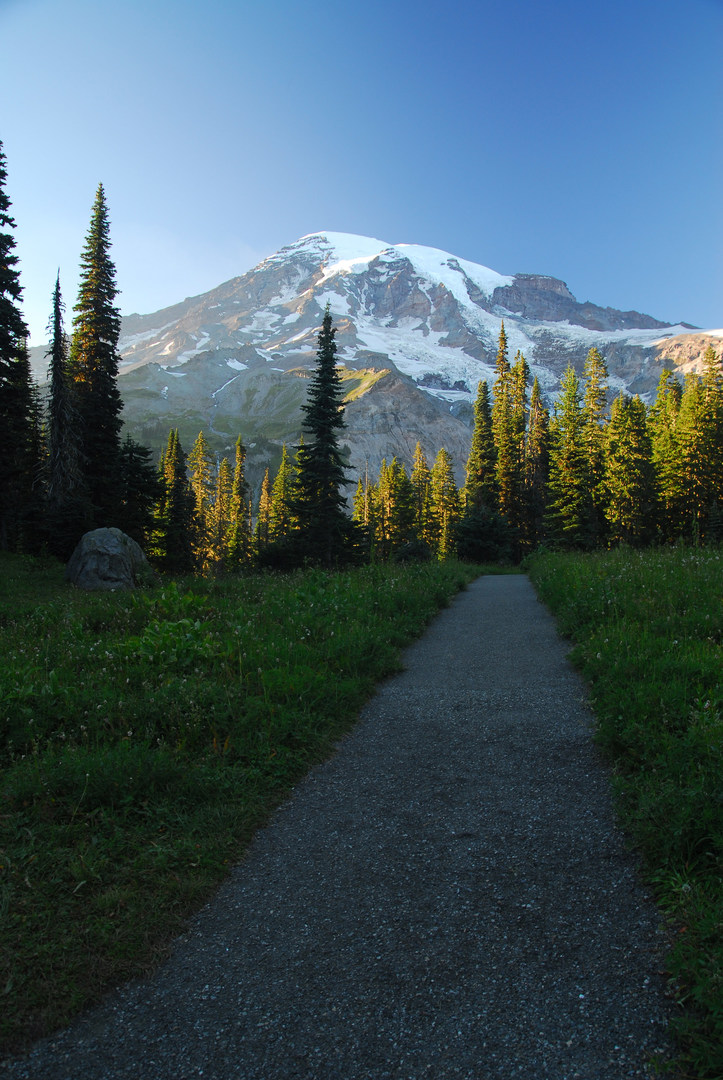 Nisqually Vista Trail | Outdoor Project