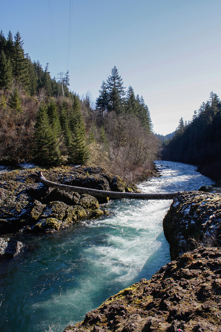 Clackamas River Trail Outdoor Project