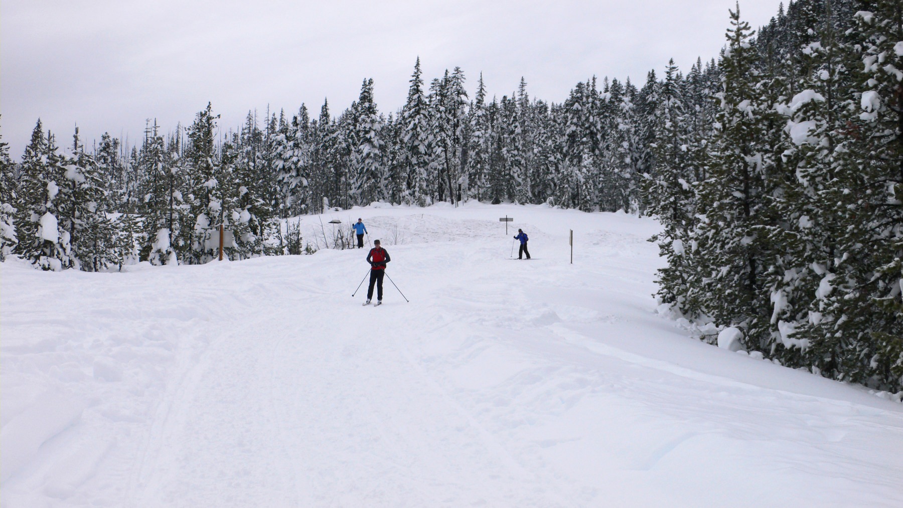Iron Creek Ski + Snowshoe Trail Outdoor Project