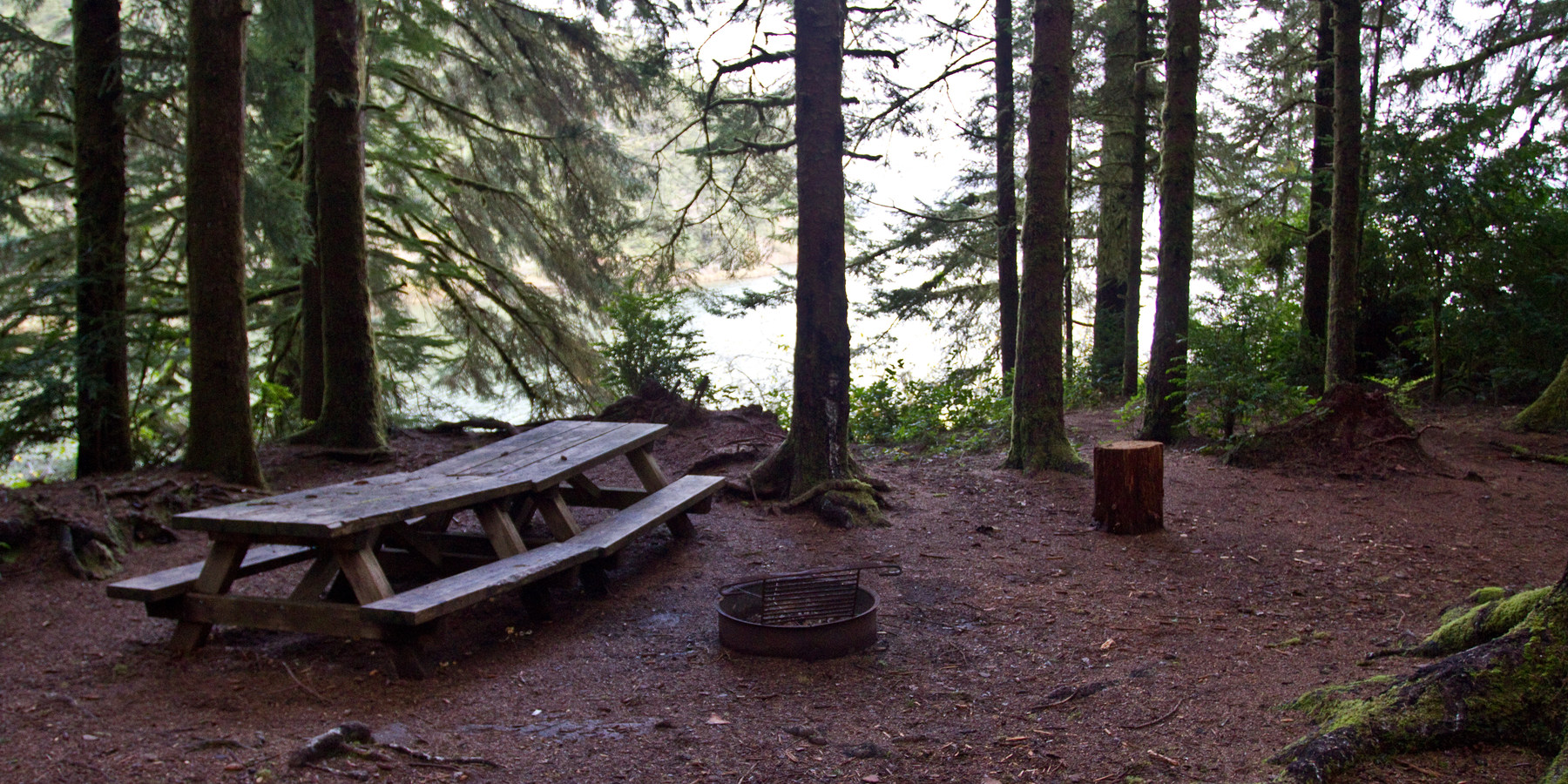 Siltcoos Lake Trail Outdoor Project