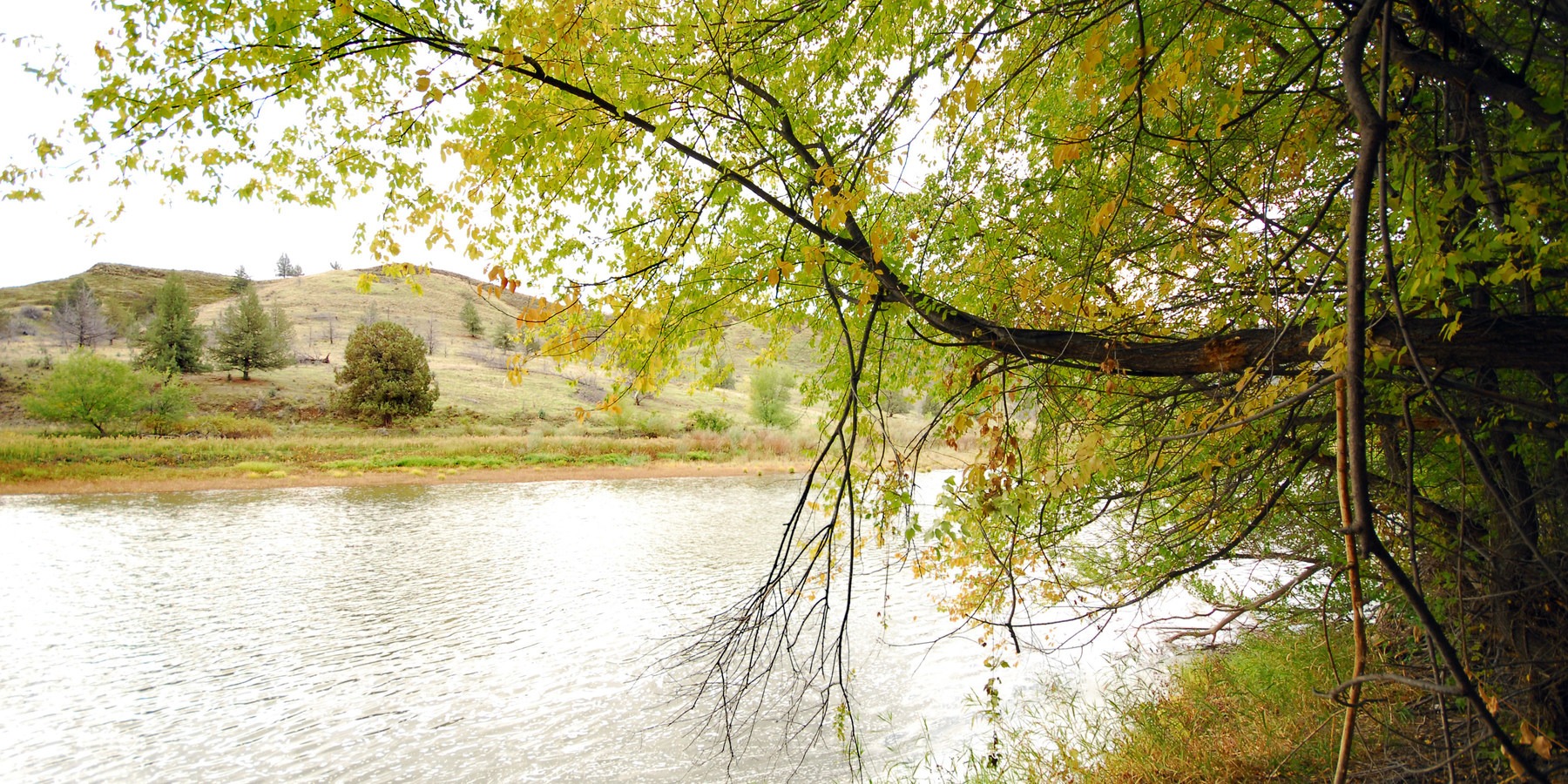 Shady Grove Recreation Site Outdoor Project