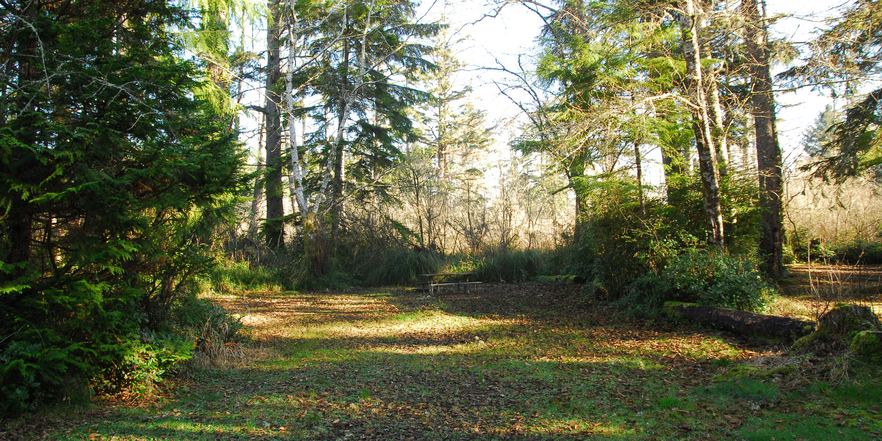 Twin Harbors State Park Campground Outdoor Project